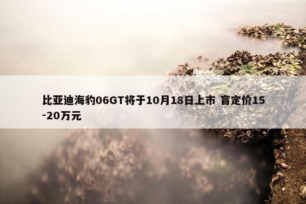 比亚迪海豹06GT将于10月18日上市 盲定价15-20万元