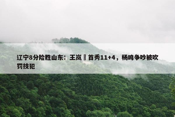 辽宁8分险胜山东：王岚嵚首秀11+4，杨鸣争吵被吹罚技犯