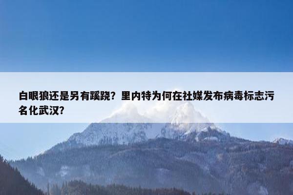 白眼狼还是另有蹊跷？里内特为何在社媒发布病毒标志污名化武汉？