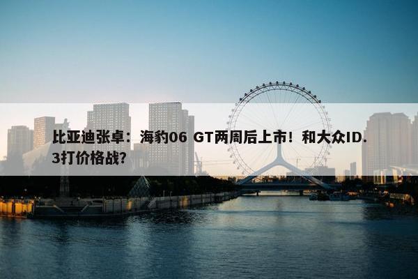 比亚迪张卓：海豹06 GT两周后上市！和大众ID.3打价格战？