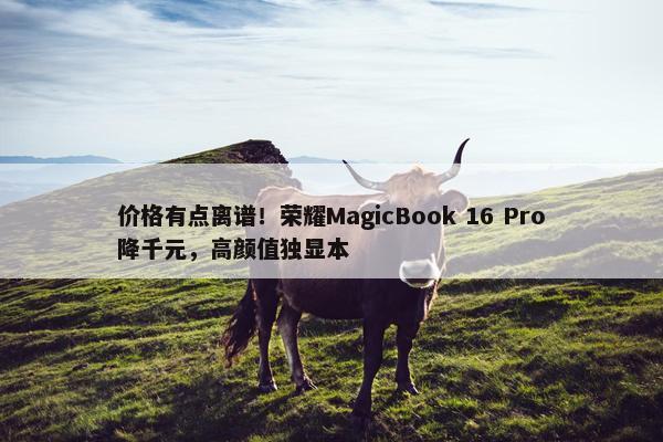 价格有点离谱！荣耀MagicBook 16 Pro降千元，高颜值独显本