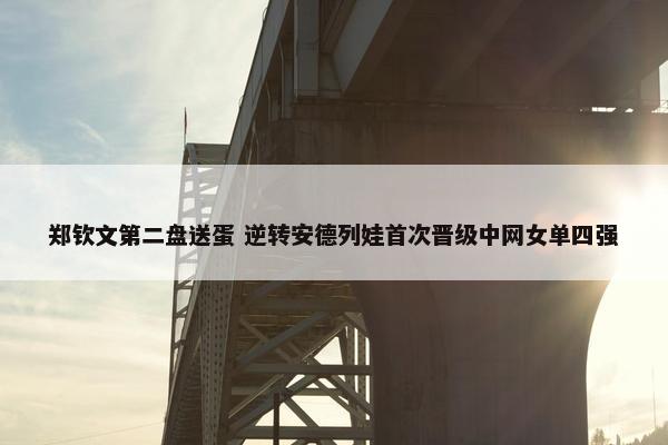 郑钦文第二盘送蛋 逆转安德列娃首次晋级中网女单四强