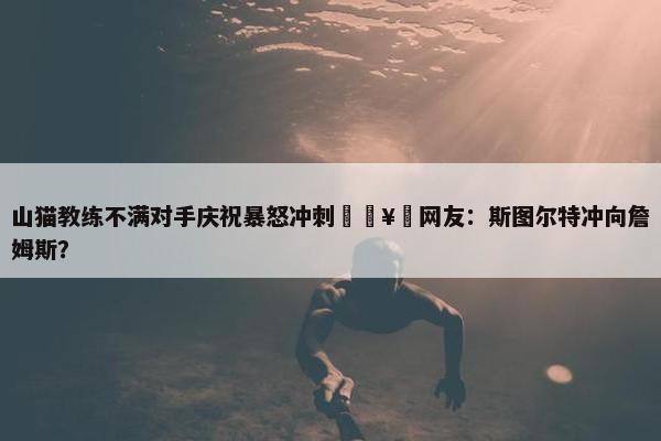 山猫教练不满对手庆祝暴怒冲刺🥵网友：斯图尔特冲向詹姆斯？