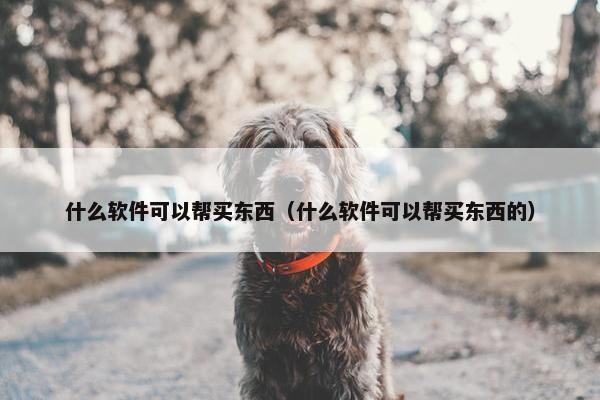 什么软件可以帮买东西（什么软件可以帮买东西的）