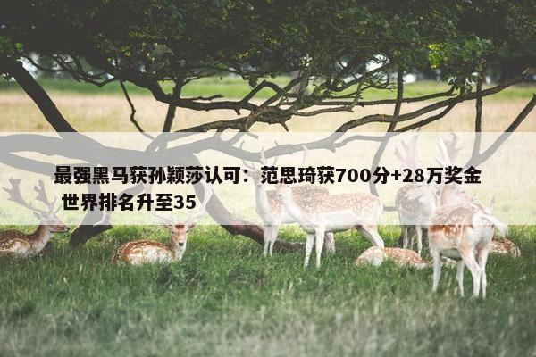 最强黑马获孙颖莎认可：范思琦获700分+28万奖金 世界排名升至35