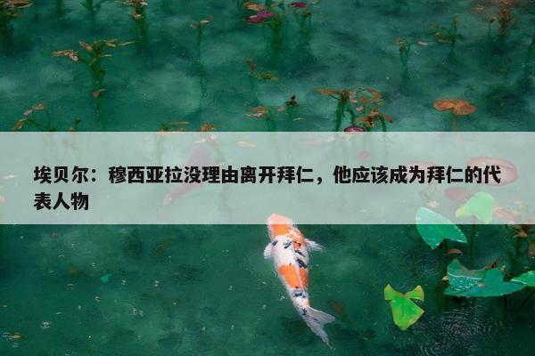 埃贝尔：穆西亚拉没理由离开拜仁，他应该成为拜仁的代表人物