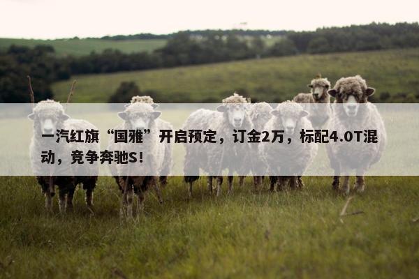 一汽红旗“国雅”开启预定，订金2万，标配4.0T混动，竞争奔驰S！