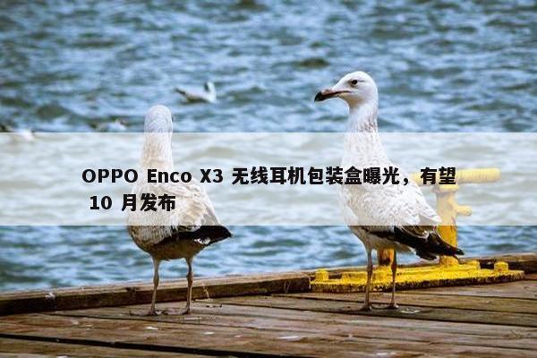 OPPO Enco X3 无线耳机包装盒曝光，有望 10 月发布