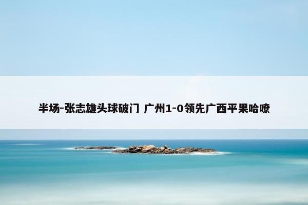 半场-张志雄头球破门 广州1-0领先广西平果哈嘹