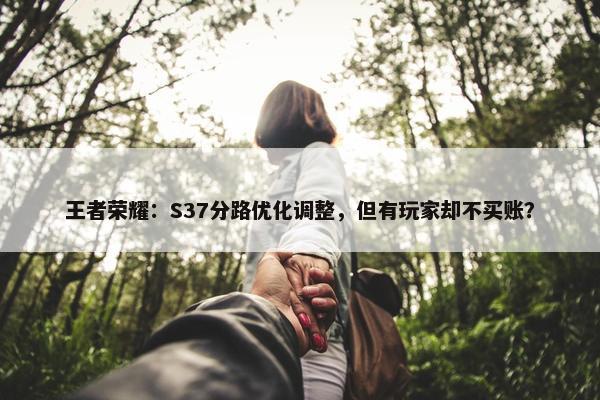 王者荣耀：S37分路优化调整，但有玩家却不买账？