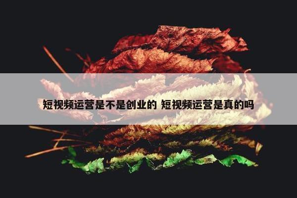 短视频运营是不是创业的 短视频运营是真的吗