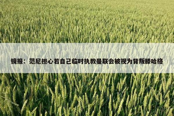 镜报：范尼担心若自己临时执教曼联会被视为背叛滕哈格