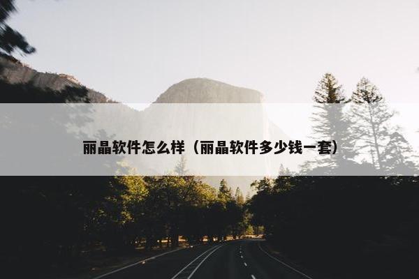 丽晶软件怎么样（丽晶软件多少钱一套）