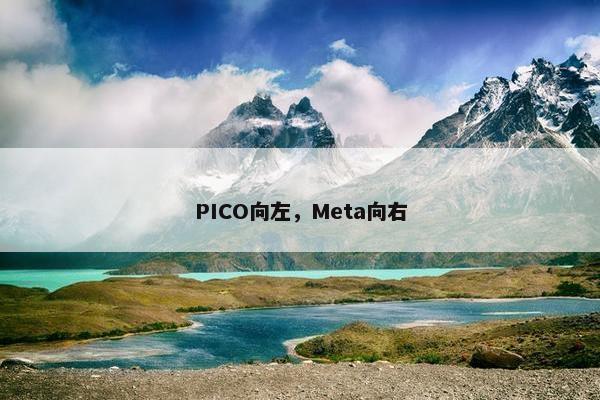 PICO向左，Meta向右