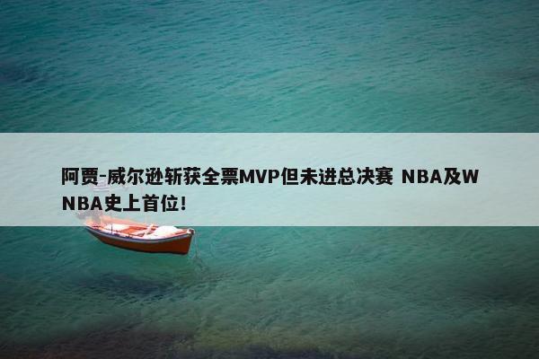 阿贾-威尔逊斩获全票MVP但未进总决赛 NBA及WNBA史上首位！