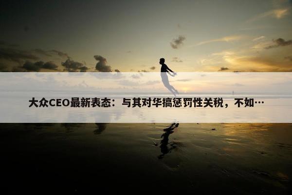 大众CEO最新表态：与其对华搞惩罚性关税，不如…