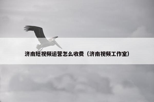 济南短视频运营怎么收费（济南视频工作室）