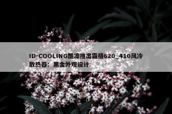 ID-COOLING酷凛推出霜格620_410风冷散热器：黑金外观设计