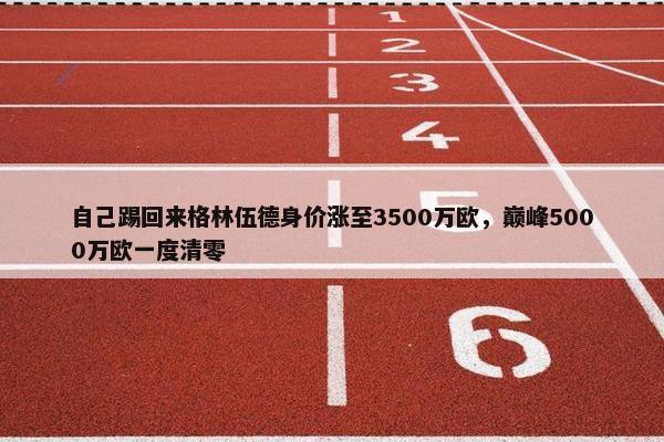 自己踢回来格林伍德身价涨至3500万欧，巅峰5000万欧一度清零