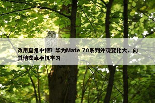 改用直角中框？华为Mate 70系列外观变化大，向其他安卓手机学习