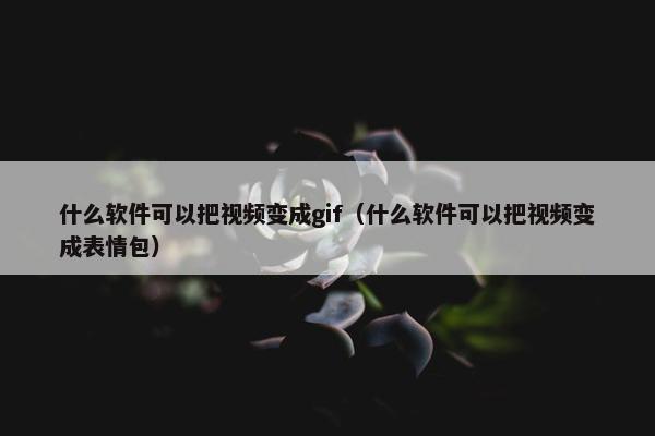 什么软件可以把视频变成gif（什么软件可以把视频变成表情包）