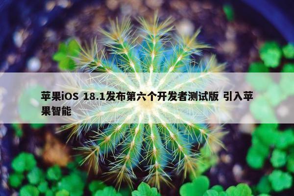 苹果iOS 18.1发布第六个开发者测试版 引入苹果智能