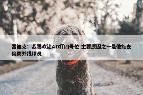 雷迪克：我喜欢让AD打四号位 主要原因之一是他能去换防外线球员