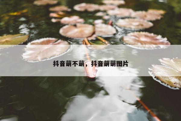 抖音萌不萌，抖音萌萌图片