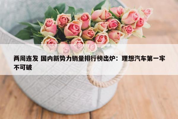 两周连发 国内新势力销量排行榜出炉：理想汽车第一牢不可破