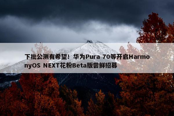 下批公测有希望！华为Pura 70等开启HarmonyOS NEXT花粉Beta版尝鲜招募