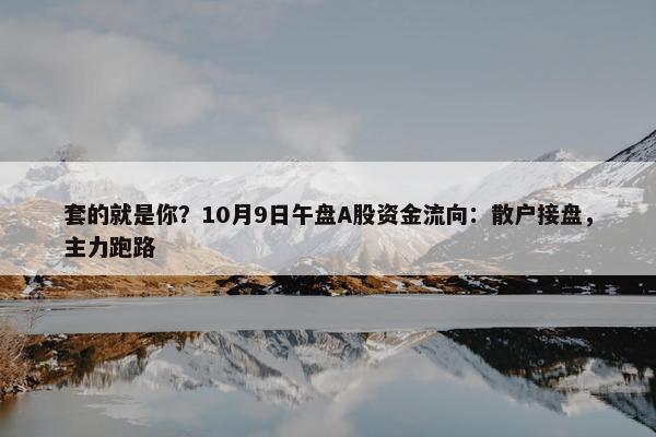 套的就是你？10月9日午盘A股资金流向：散户接盘，主力跑路