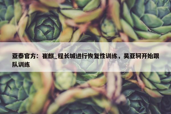 亚泰官方：崔麒_程长城进行恢复性训练，吴亚轲开始跟队训练