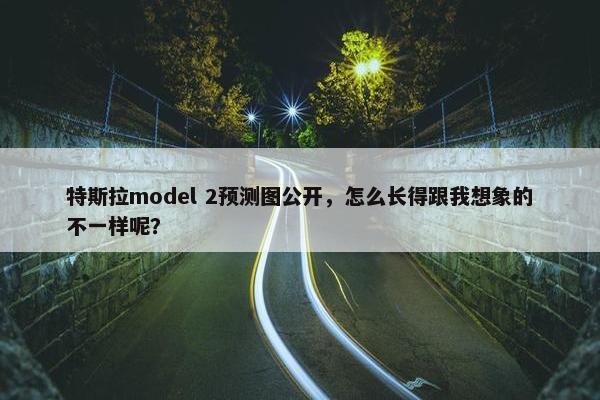 特斯拉model 2预测图公开，怎么长得跟我想象的不一样呢？