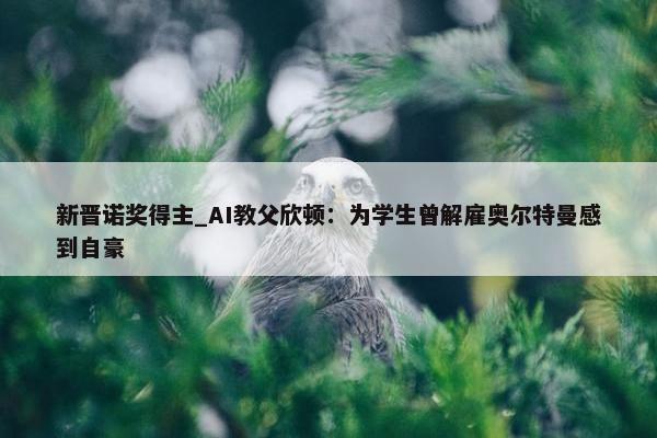 新晋诺奖得主_AI教父欣顿：为学生曾解雇奥尔特曼感到自豪