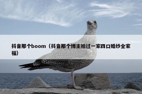 抖音那个boom（抖音那个博主拍过一家四口婚纱全家福）