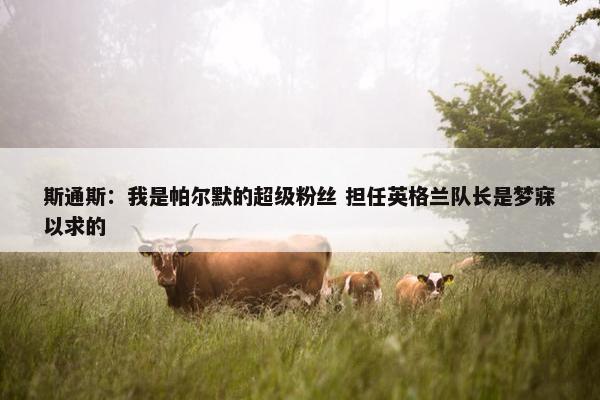 斯通斯：我是帕尔默的超级粉丝 担任英格兰队长是梦寐以求的