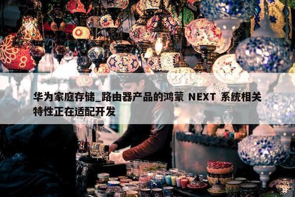 华为家庭存储_路由器产品的鸿蒙 NEXT 系统相关特性正在适配开发