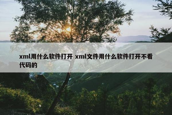 xml用什么软件打开 xml文件用什么软件打开不看代码的