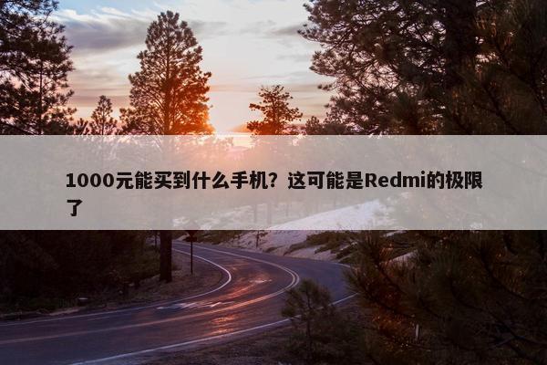 1000元能买到什么手机？这可能是Redmi的极限了