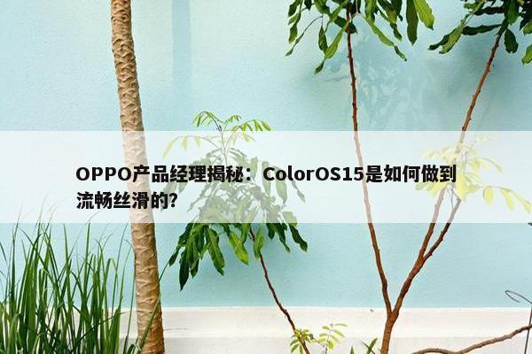 OPPO产品经理揭秘：ColorOS15是如何做到流畅丝滑的？