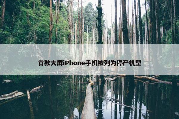 首款大屏iPhone手机被列为停产机型