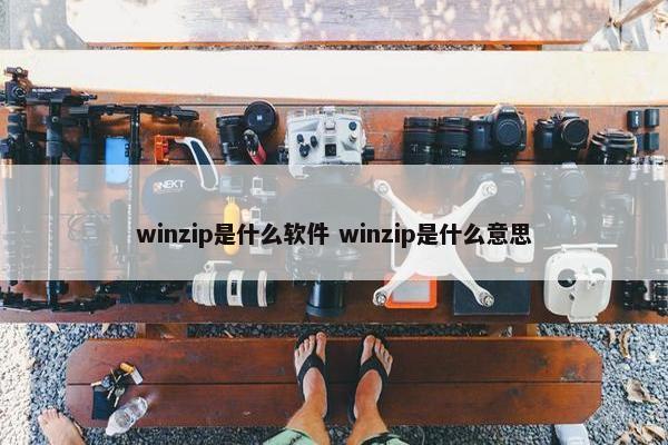 winzip是什么软件 winzip是什么意思