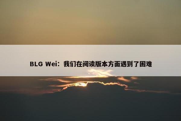 BLG Wei：我们在阅读版本方面遇到了困难