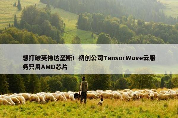 想打破英伟达垄断！初创公司TensorWave云服务只用AMD芯片