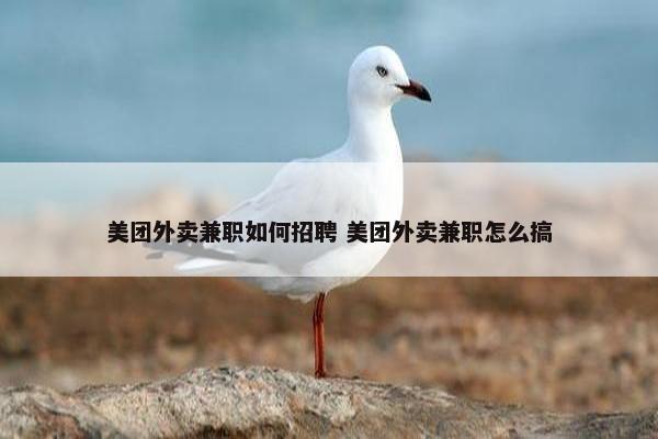 美团外卖兼职如何招聘 美团外卖兼职怎么搞