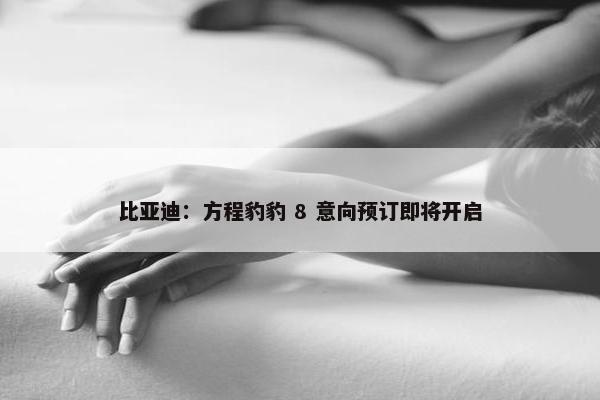 比亚迪：方程豹豹 8 意向预订即将开启