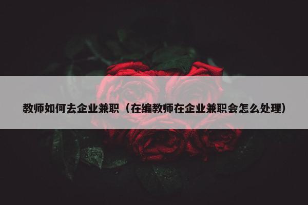 教师如何去企业兼职（在编教师在企业兼职会怎么处理）