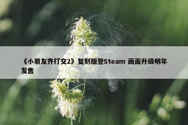 《小朋友齐打交2》复刻版登Steam 画面升级明年发售