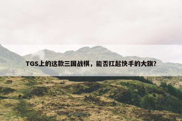 TGS上的这款三国战棋，能否扛起快手的大旗？