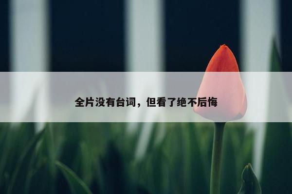 全片没有台词，但看了绝不后悔